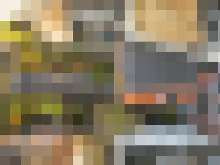 Oranjehof 42 Utrecht thumbnail 31