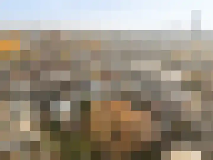 Oranjehof 42 Utrecht thumbnail 36