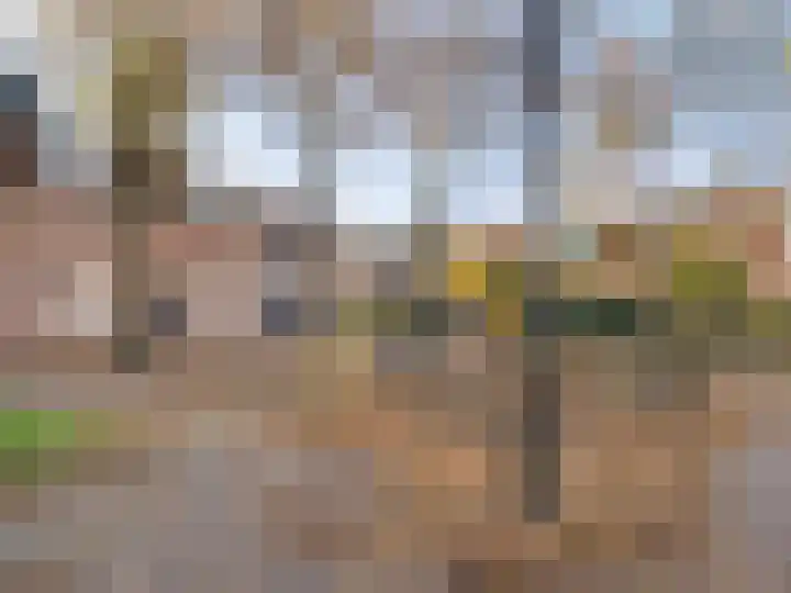 Oranjehof 42 Utrecht thumbnail 39