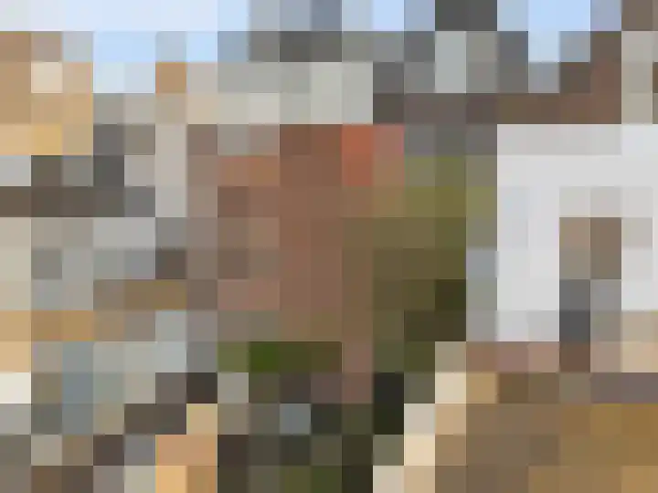 Oranjehof 42 Utrecht thumbnail 5