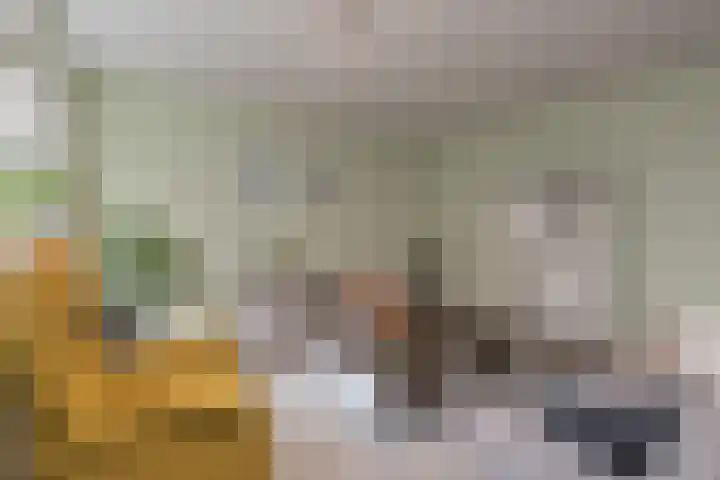 Oranjehof 5 Lisse thumbnail 19