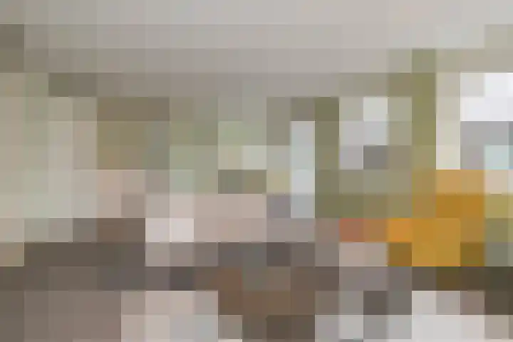 Oranjehof 5 Lisse thumbnail 20