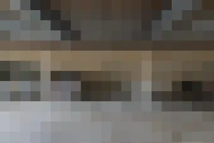 Oranjehof 5 Lisse thumbnail 26