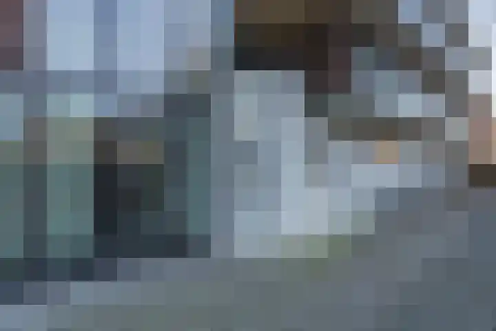 Oranjehof 5 Lisse thumbnail 28