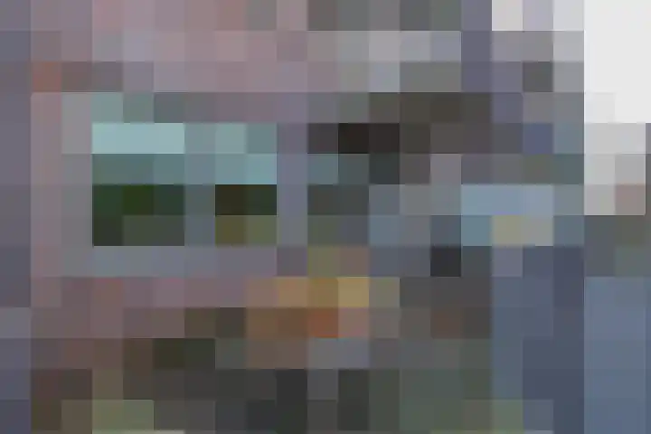 Oranjehof 5 Lisse thumbnail 4