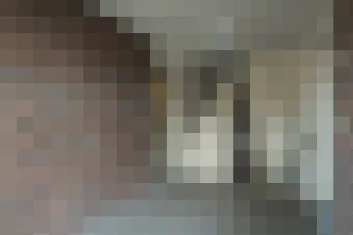 Oranjehof 5 Lisse thumbnail 6