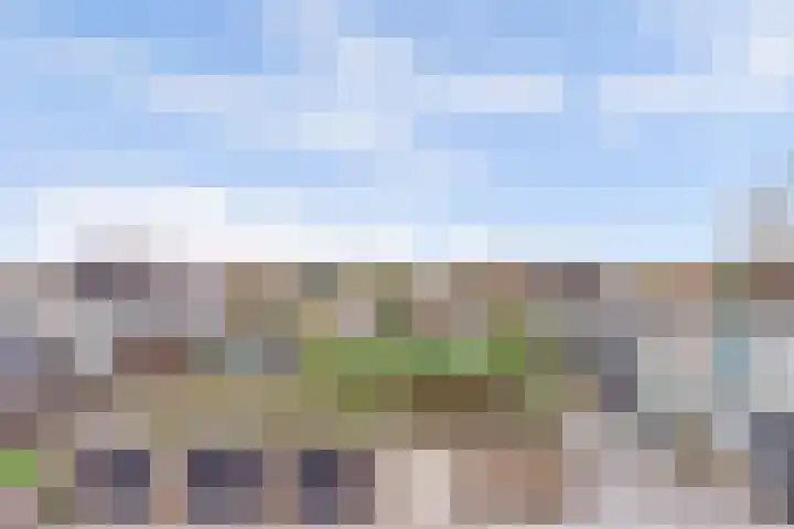 Oranjehof 53 Leerdam thumbnail 20
