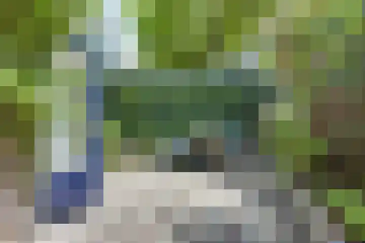 Oranjehof 54 Utrecht thumbnail 17