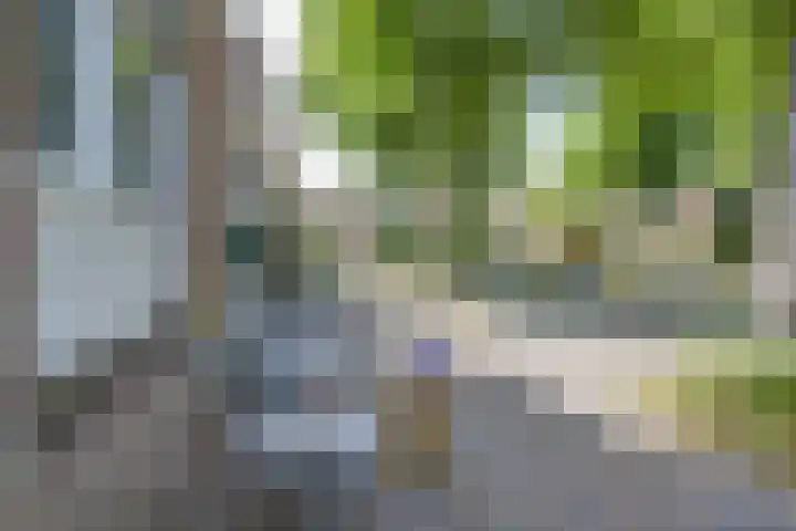 Oranjehof 54 Utrecht thumbnail 19