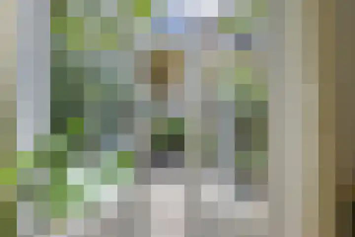 Oranjehof 54 Utrecht thumbnail 20