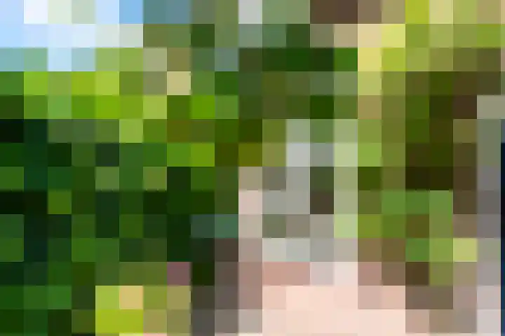 Oranjehof 54 Utrecht thumbnail 24