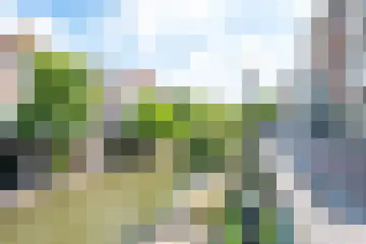 Oranjehof 54 Utrecht thumbnail 28