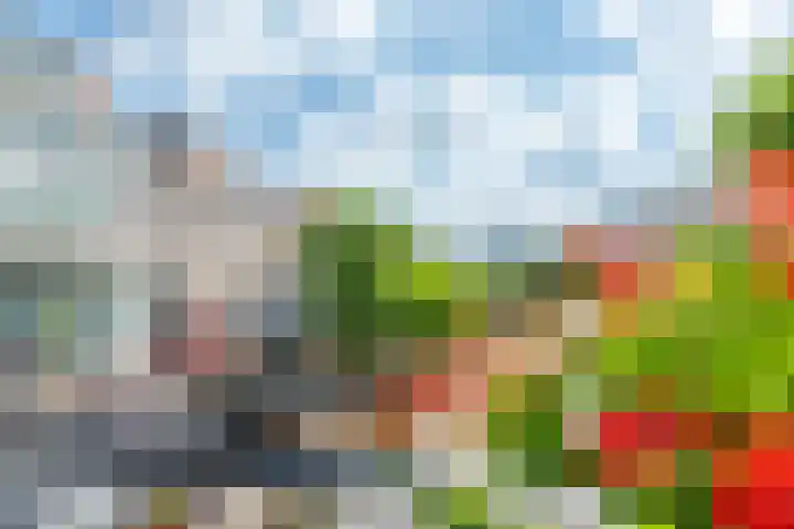 Oranjehof 54 Utrecht thumbnail 29