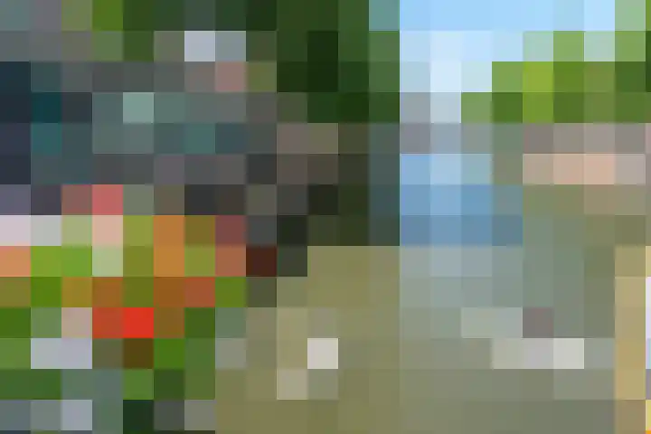 Oranjehof 54 Utrecht thumbnail 30