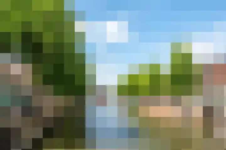 Oranjehof 54 Utrecht thumbnail 31