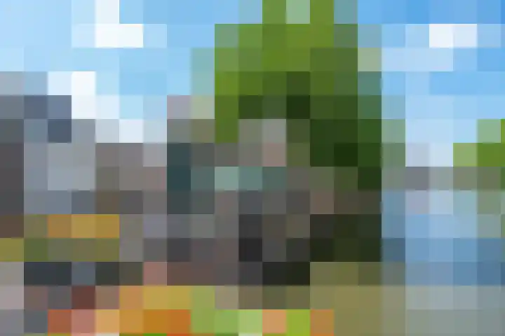 Oranjehof 54 Utrecht thumbnail 32