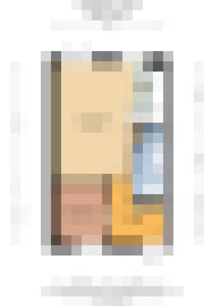 Oranjehof 54 Utrecht thumbnail 38