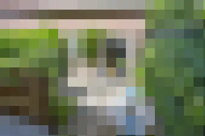 Oranjehof 54 Utrecht thumbnail 4