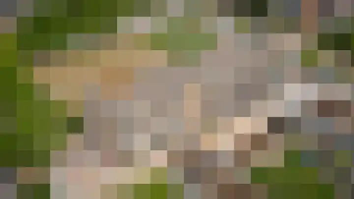 Oranjehof 77 Leerdam thumbnail 4