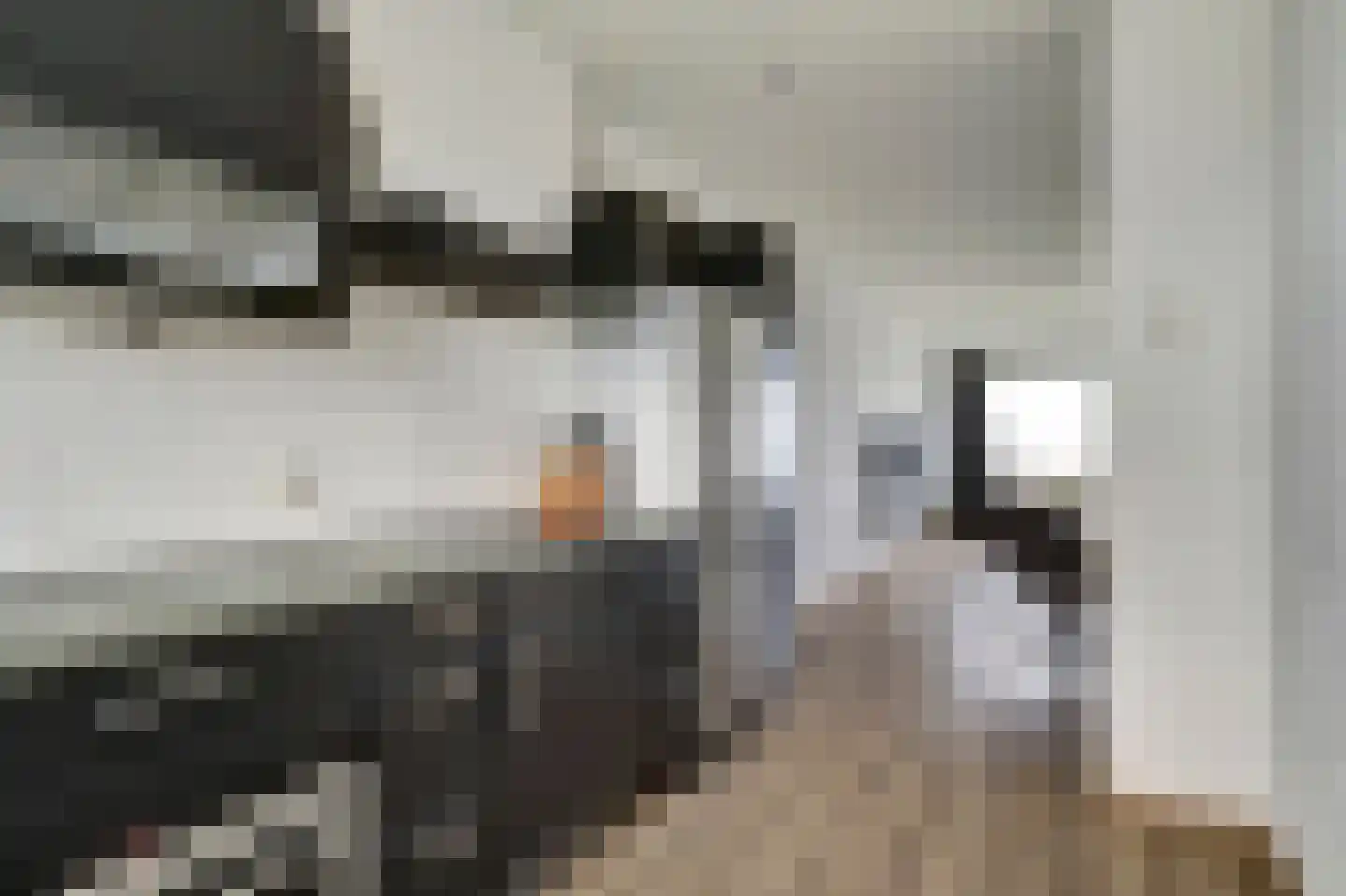Oranjehof 87 Leerdam thumbnail 18