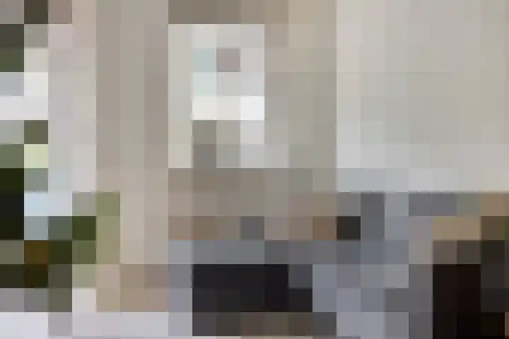 Oranjehof 9 Lisse thumbnail 11