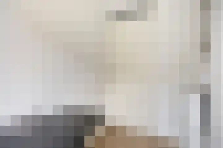 Oranjehof 9 Lisse thumbnail 19