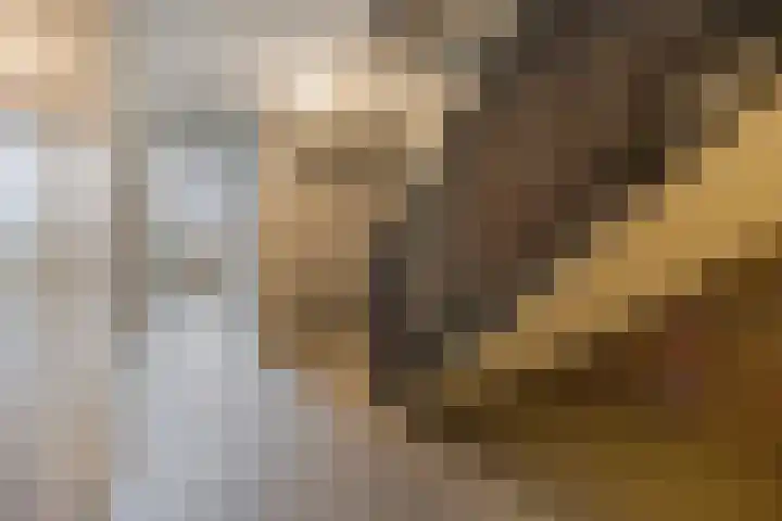 Oranjehof 9 Lisse thumbnail 23
