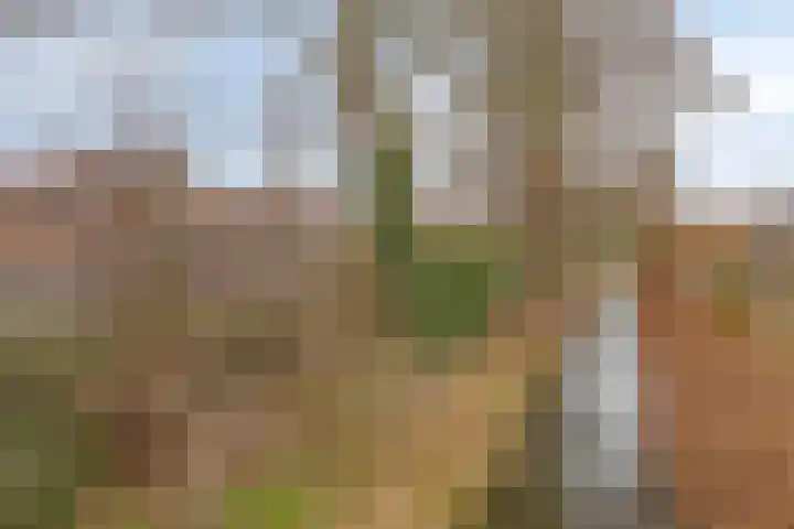 Oranjehof 9 Lisse thumbnail 29