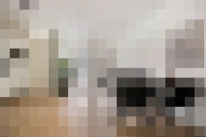 Oranjehof 9 Lisse thumbnail 5