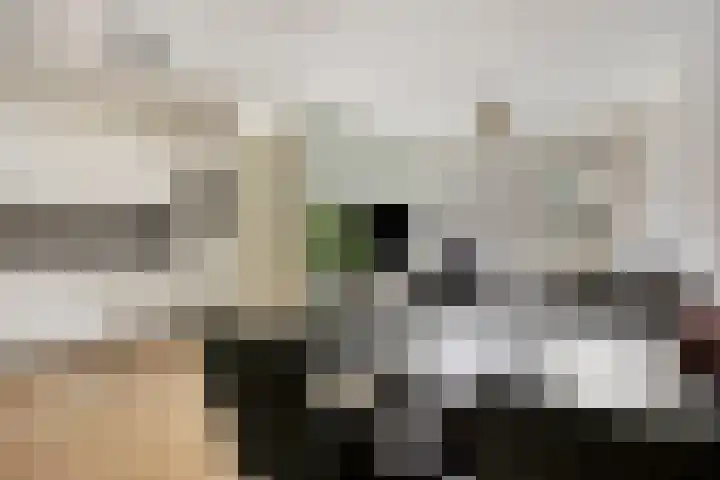 Oranjehof 9 Lisse thumbnail 6