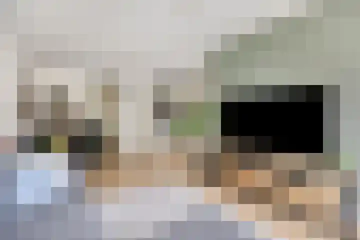 Oranjehof 9 Lisse thumbnail 7