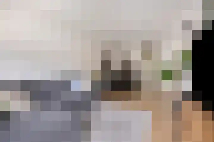 Oranjehof 9 Lisse thumbnail 8