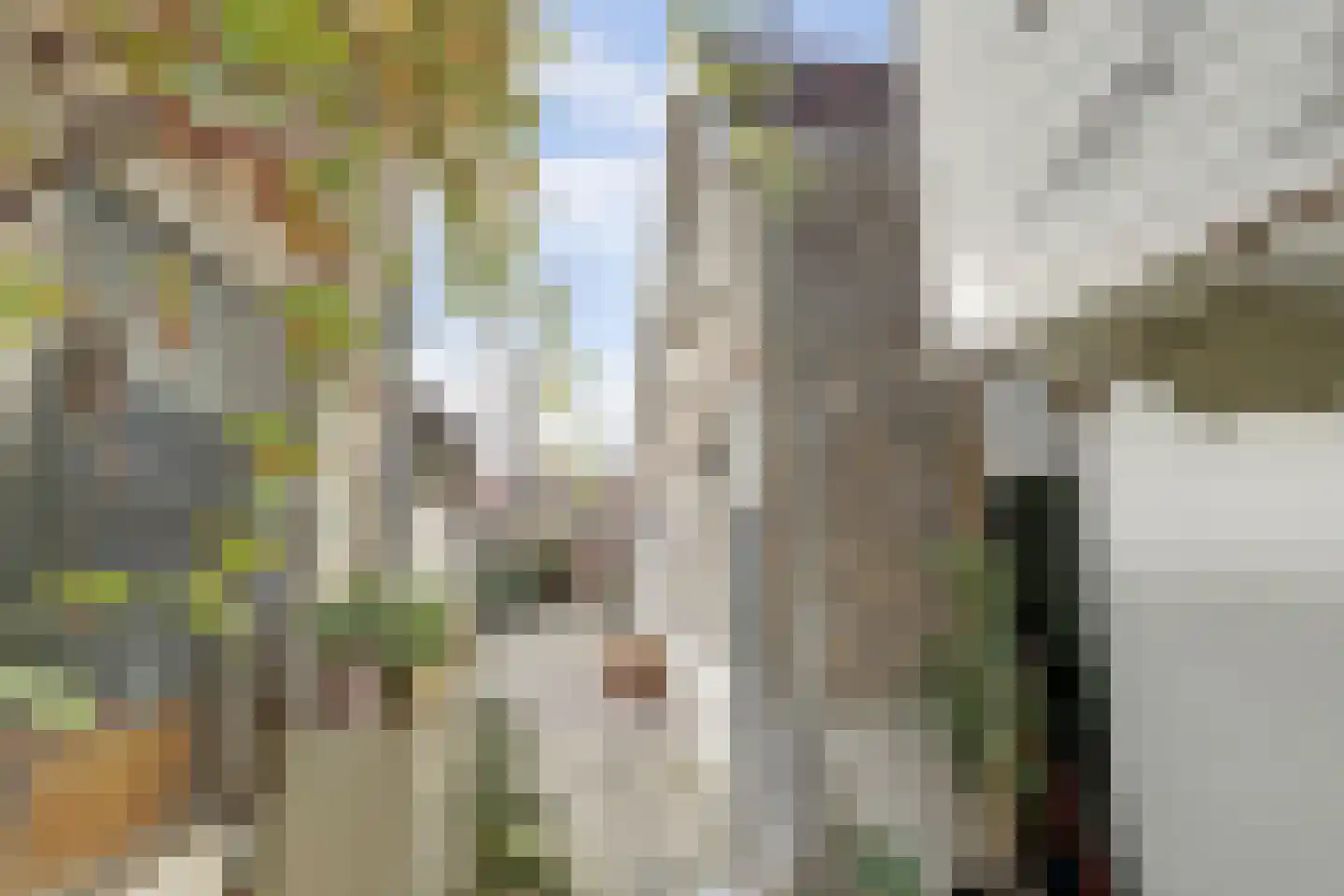 Oranjehofje 2 Gouda thumbnail 6