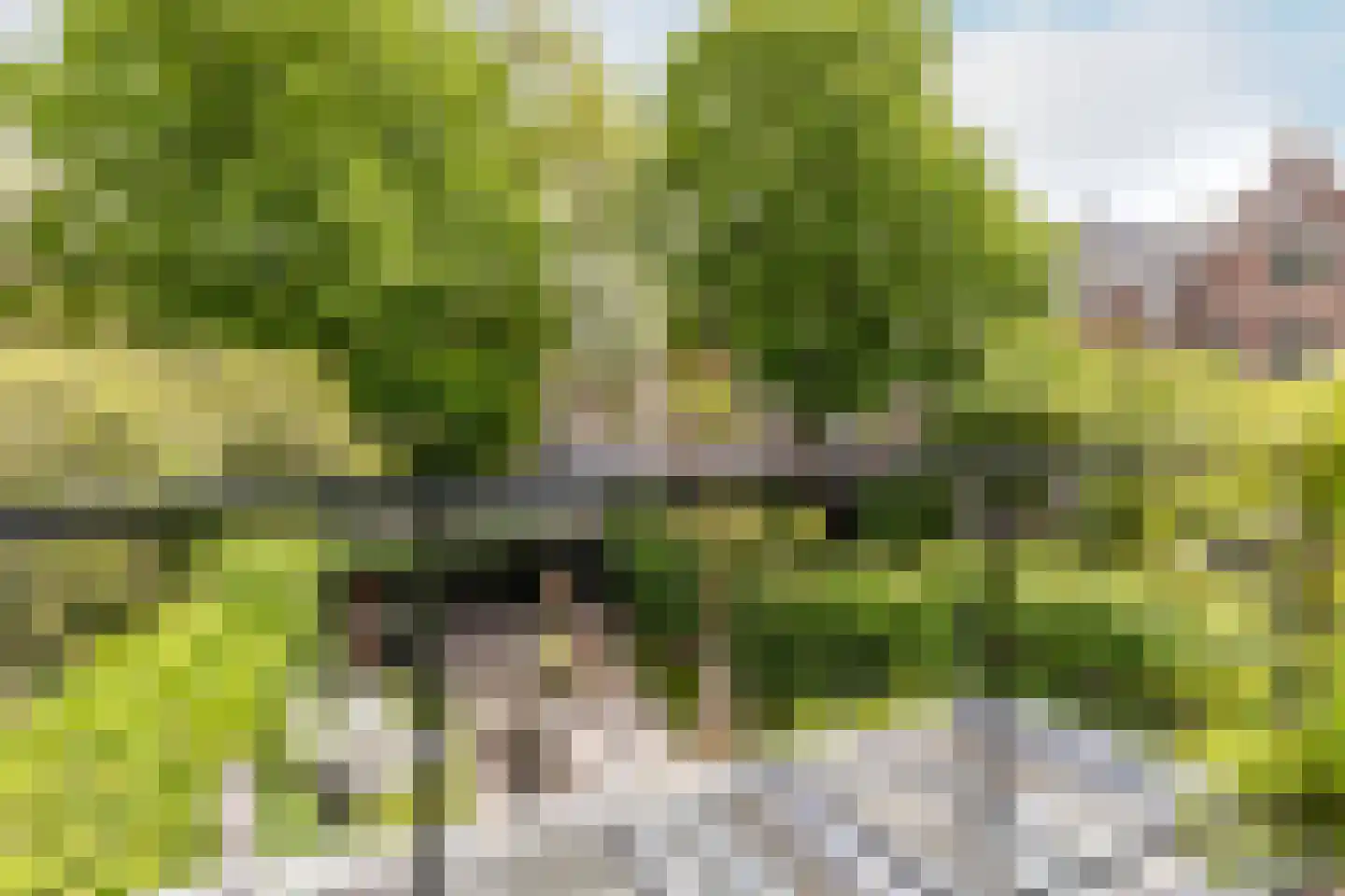 Oranjekade 23 Haarlem thumbnail 18