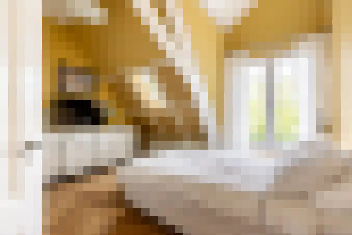 Oranjekade 23 Haarlem thumbnail 25