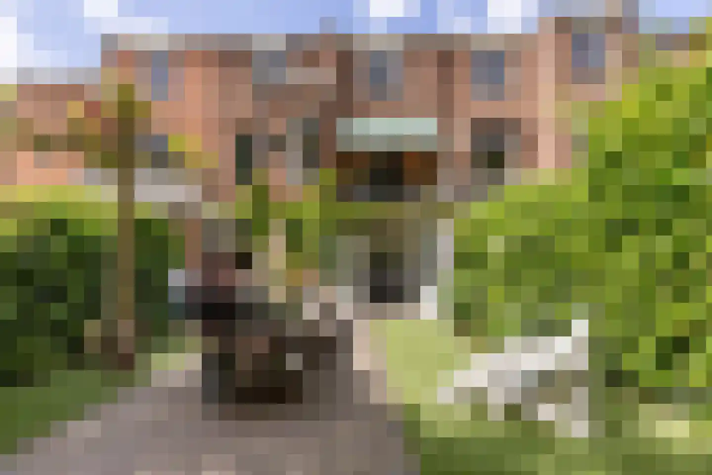 Oranjekade 23 Haarlem thumbnail 31