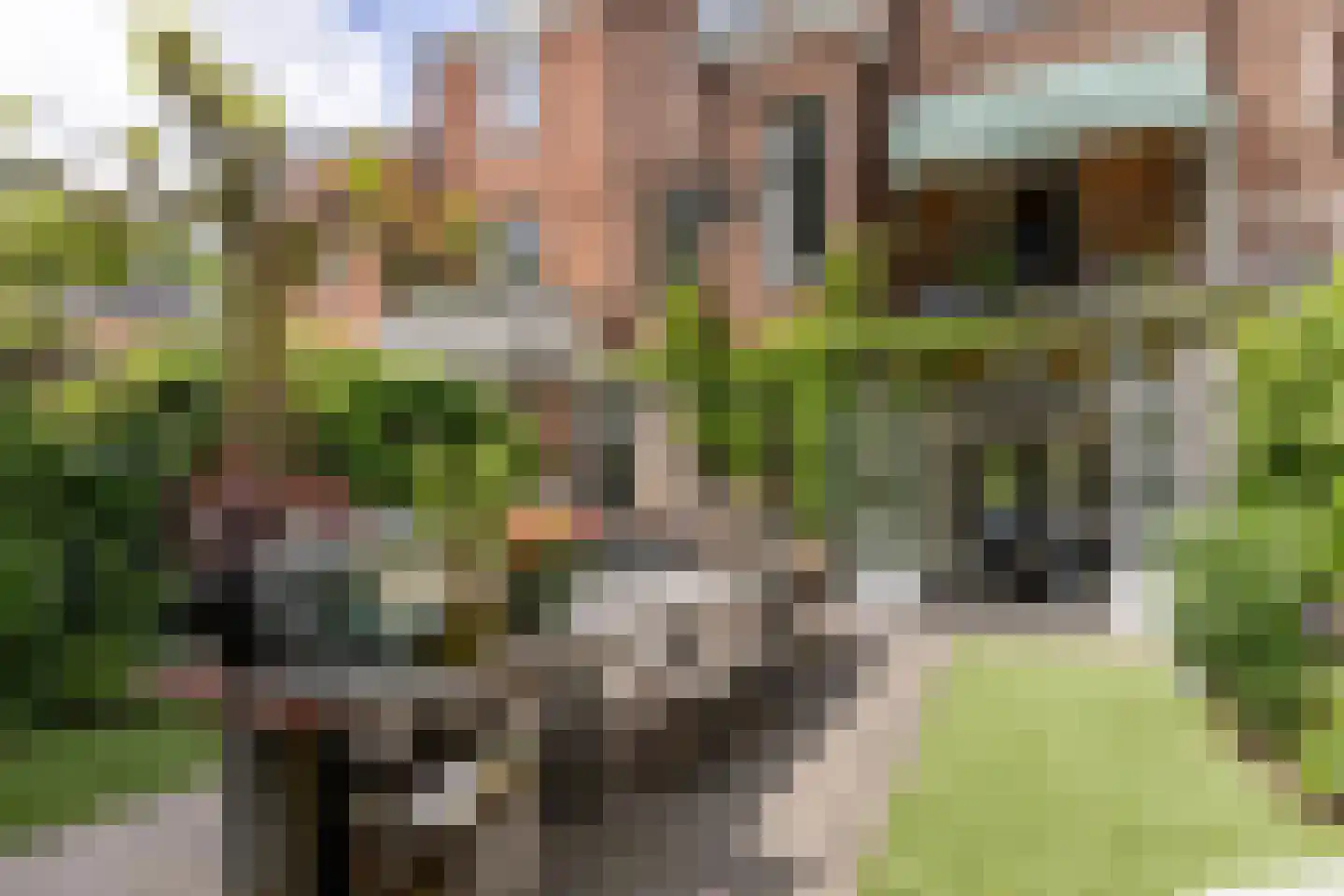 Oranjekade 23 Haarlem thumbnail 32