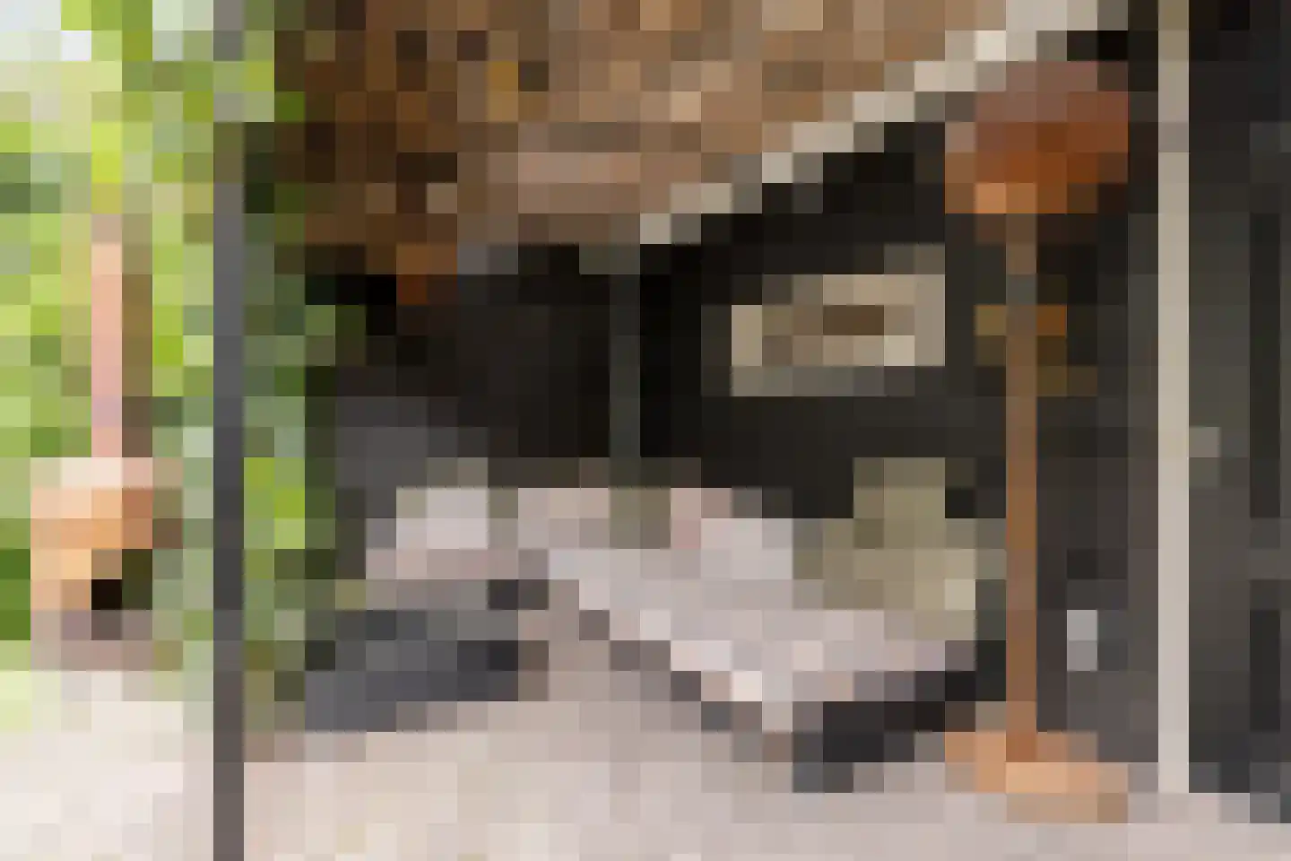 Oranjekade 23 Haarlem thumbnail 37