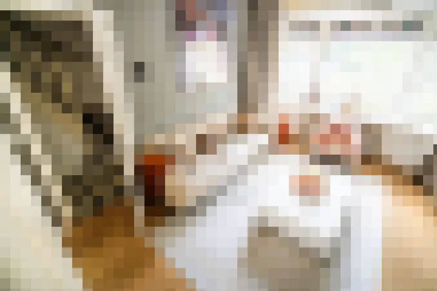 Oranjekade 43 Voorschoten thumbnail 32