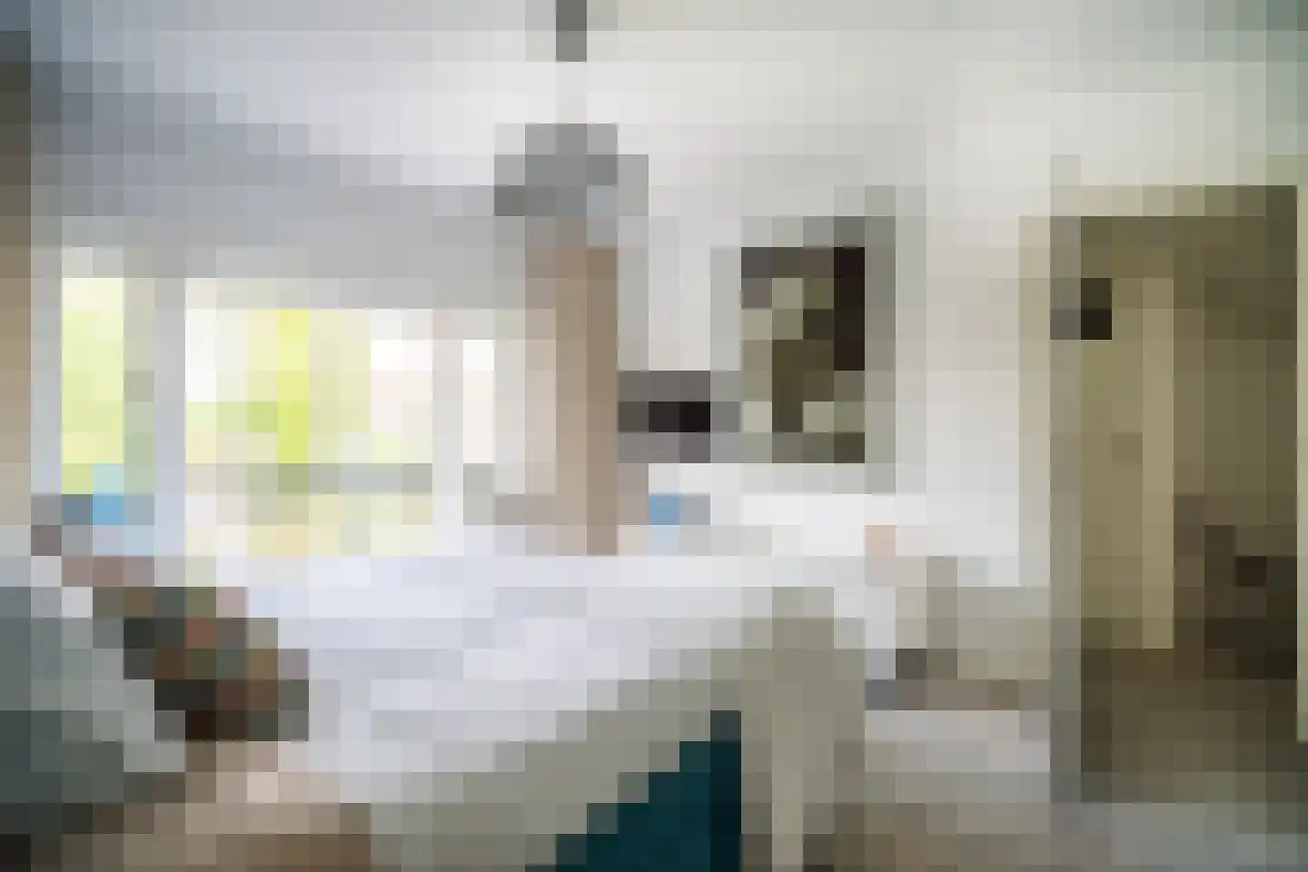 Oranjekade 43 Voorschoten thumbnail 44