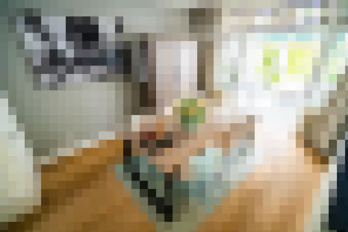 Oranjekade 43 Voorschoten thumbnail 5