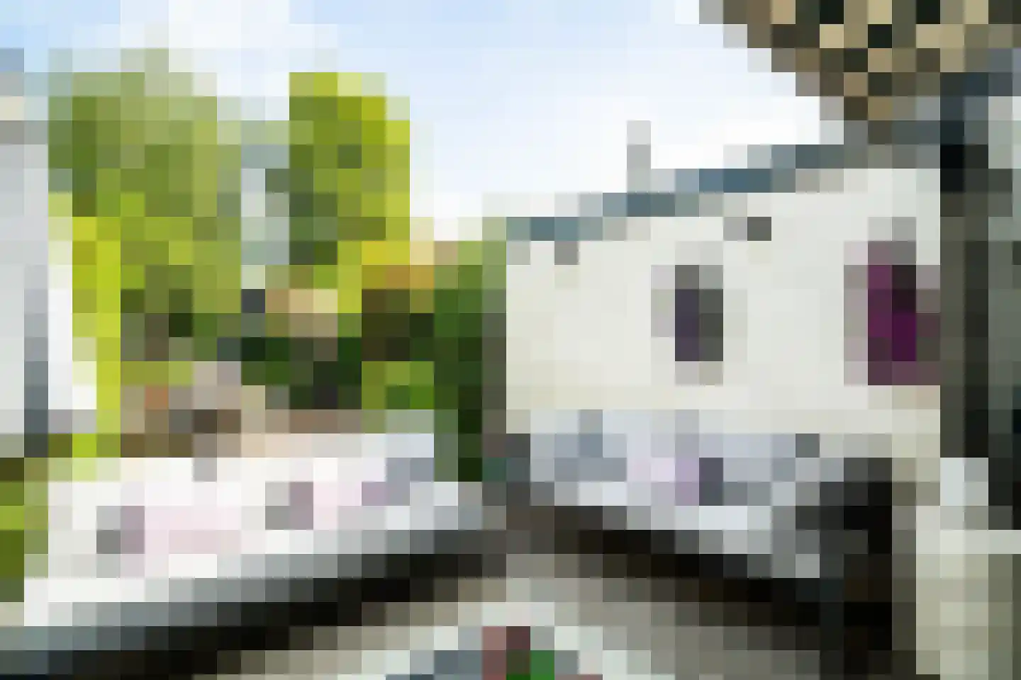 Oranjekade 43 Voorschoten thumbnail 6