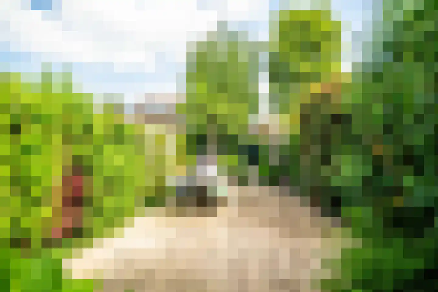 Oranjekade 43 Voorschoten thumbnail 8