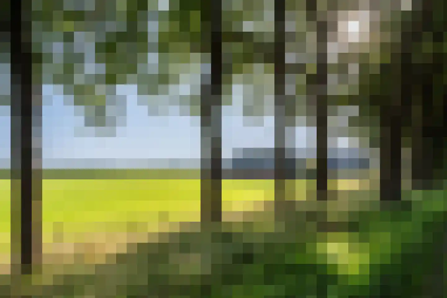 Oranjekanaal N.Z. 31 Zuidveld thumbnail 17
