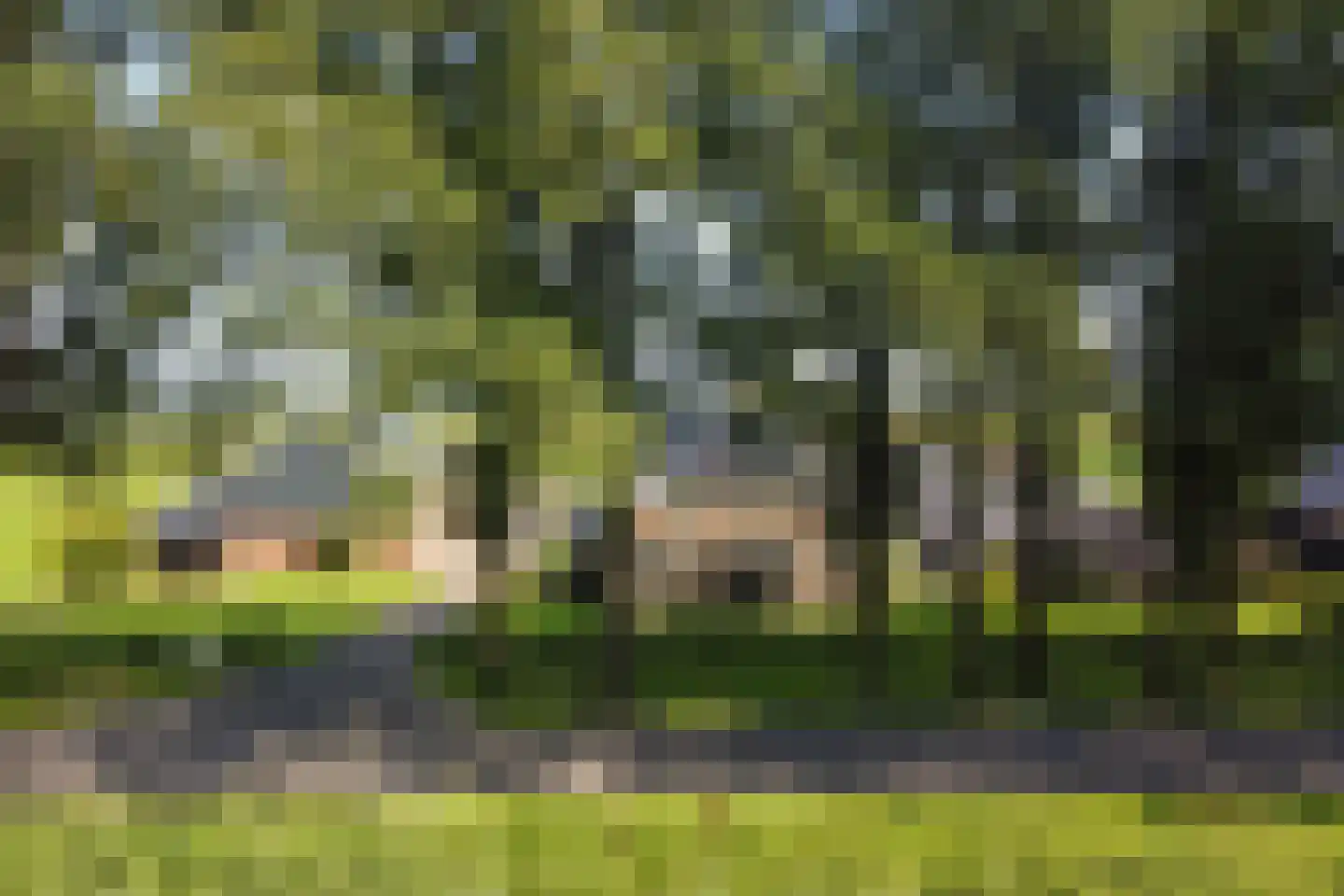 Oranjekanaal N.Z. 31 Zuidveld thumbnail 18