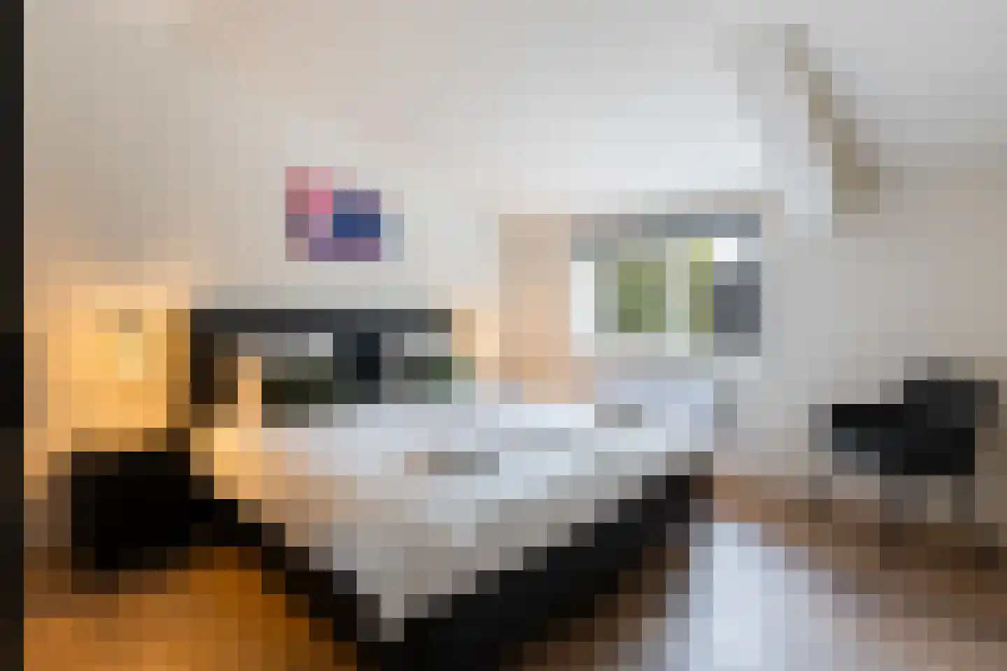 Oranjekanaal N.Z. 31 Zuidveld thumbnail 28