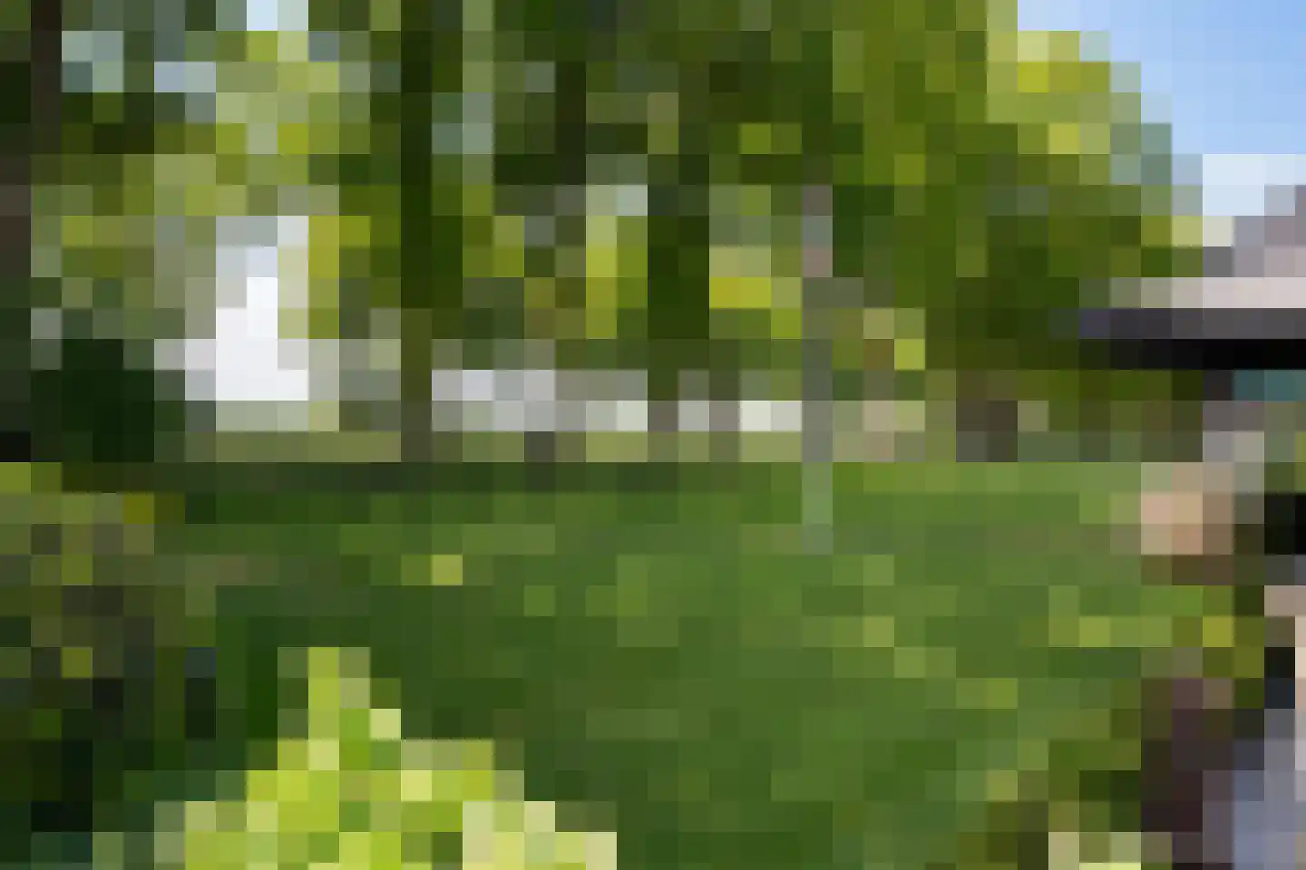 Oranjekanaal N.Z. 31 Zuidveld thumbnail 32