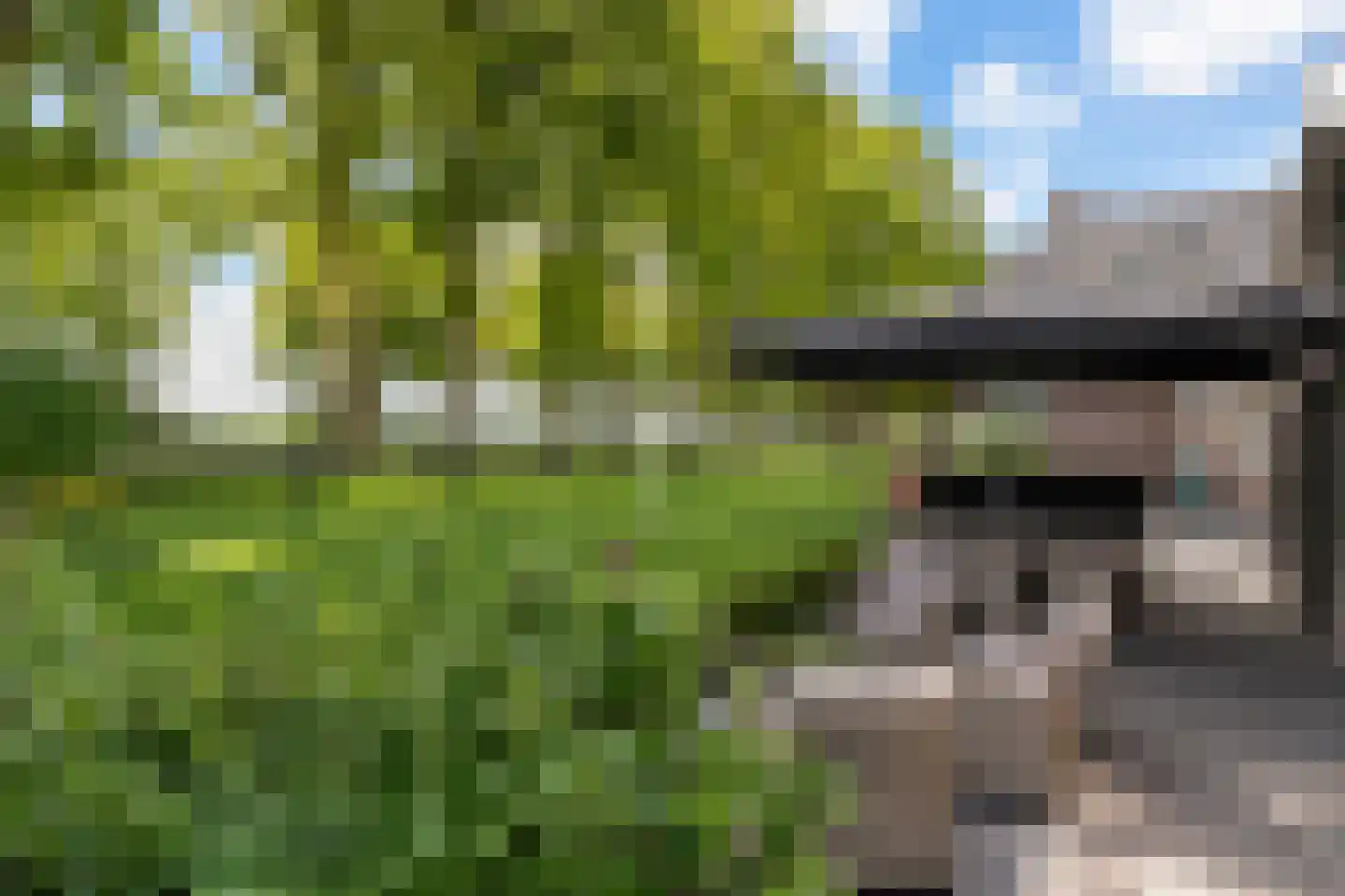 Oranjekanaal N.Z. 31 Zuidveld thumbnail 33