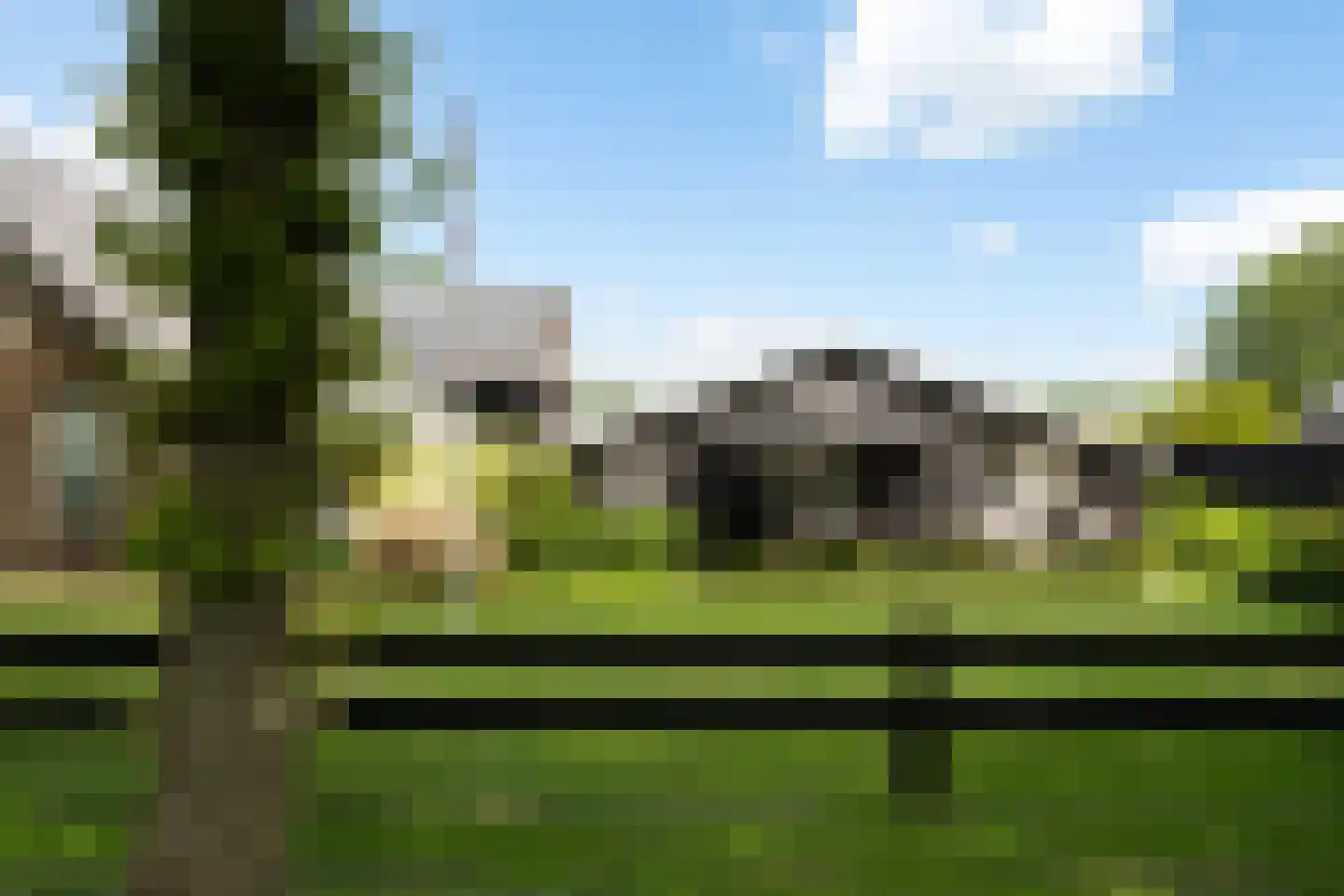 Oranjekanaal N.Z. 31 Zuidveld thumbnail 34