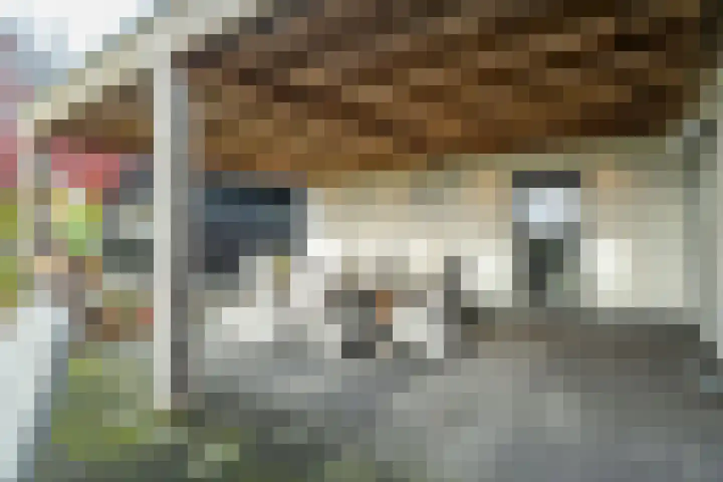Oranjekanaal N.Z. 37 Zuidveld thumbnail 54